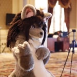 武藏野-银牙 的头像