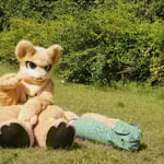 泽秋蛰若 的头像