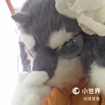 咸鱼 XiiN 的头像