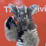 DG白本星 的头像