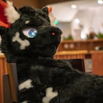 哈迪hardy 的头像