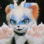 极光.提卡波 的头像