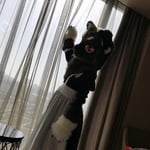 墨夕moocy 的头像