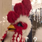 萩萩女士 的头像