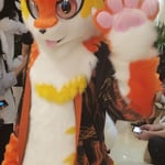 Motsen（墨森） 的头像