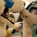 山上 年兽 的头像