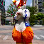 焦糖布丁 的头像