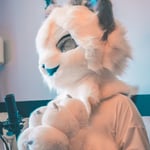 冬月の北极猫 的头像