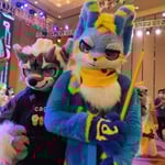 HanKing龙 的头像