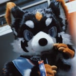 Atomic 原子 的头像