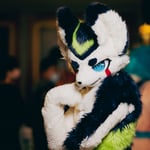 尾狐西蒙 的头像