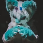 子莫zemo 的头像