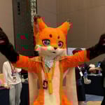 狐狸 的头像