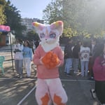 草莓芭菲 的头像