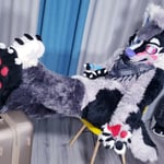 黑白武双 的头像