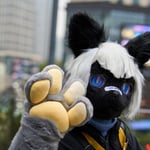 黑渊月/繆银鹤川 的头像