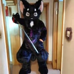 夜猫Zusy 的头像