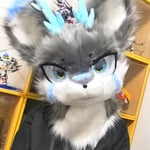 硬核土猫 的头像