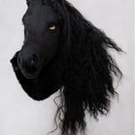 “害群之马”-安德烈 的头像