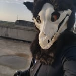 威廉姆.威士忌 的头像