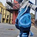 夜墨逆光 的头像