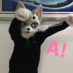 安咻咔咔 的头像