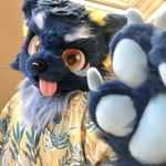 查理·库曼特 的头像