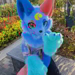 苏格拉底 的头像