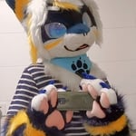 矽格尔德／相位 的头像