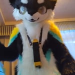 敖辰 AuTumn 的头像