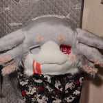 肝糖小螈 的头像