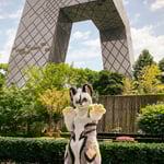 泽维尔·克虏伯 的头像