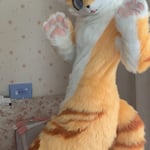 向北Angel 的头像