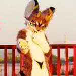 狼龙·影壹 的头像