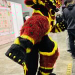 海诺-维奇 的头像