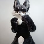 夜影niade 的头像