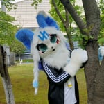 海苏MK2/樱花 的头像