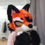 赤狐小沢 的头像