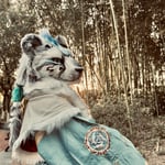 墨云澜（辰诺） 的头像