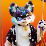 哆咪-Domi 的头像