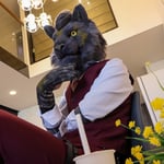 百里凛黑 的头像