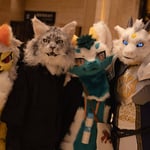 丹德莱恩 的头像