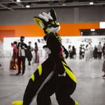 Rainbow Scratch 的头像