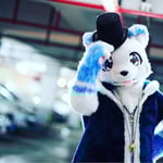 洛佩/呆呆 的头像