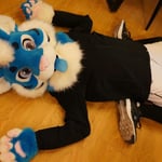 大森MORI 的头像