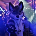 TommyCrash 的头像