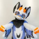 鸟爹辰星(世辰) 的头像