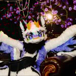 鸟爹辰星(世辰)