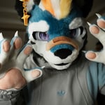 苍炎蓝虎 的头像