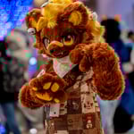 刺猬波波茶 的头像